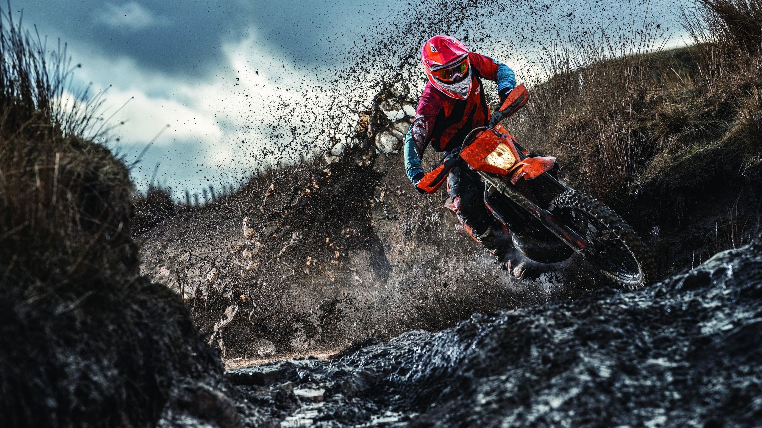 伊丽莎白·德克斯蝶泳实力引领赛场，德雷克伊丽莎白女王